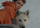Сцена из фильма Серебряный волк / Silver Wolf (1999) Серебряный волк сцена 4