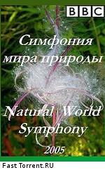 BBC: Симфония мира природы