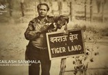 Сцена из фильма Спасти тигра / Tigerland (2019) Спасти тигра сцена 1