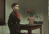 Сцена из фильма Дружок (1958) Дружок сцена 3
