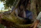 Сцена из фильма National Geographic: Анаконда. Королева змей / National Geographic: Anaconda. Queen of the serpents (2010) National Geographic: Анаконда. Королева змей сцена 8