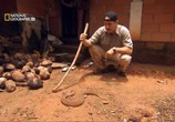 ТВ National Geographic: Опасные встречи: смертоносные змеи / Dangerous encounters (2006) - cцена 7