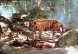 Сцена из фильма Легенда о тигрице / Tigress of King River (2002) Легенда о тигрице сцена 11