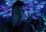 Сцена из фильма Аватар / Avatar (2009) 