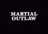 Фильм Полицейский вне закона / Martial outlaw (1993) - cцена 2