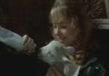 Сцена из фильма Лэсси / Lassie (1994) Лэсси сцена 5