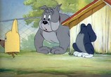Сцена из фильма Том и Джерри: Большие гонки (1941-1958) / Tom and Jerry's Greatest Chases (1941) Том и Джерри: Большие гонки (1941-1958) сцена 5