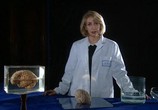 ТВ BBC: Тайны мозга / Brain Story (2000) - cцена 1