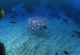 ТВ В Поисках Немо: Дополнительные материалы / Finding Nemo: Bonuces (2003) - cцена 3
