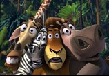 Мультфильм Мадагаскар / Madagascar (2005) - cцена 9
