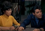 Фильм Легко пришло, легко ушло / Easy Come, Easy Go (1967) - cцена 5