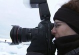 Сцена из фильма Наша планета: Арктическая история / Climate Change: Our Planet - The Arctic Story (2011) Наша планета: Арктическая история сцена 5