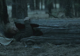 Сцена из фильма Смертельная ловушка / Deadfall Trail (2009) 