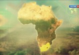 Сцена из фильма На самом краю Африки (2012) 