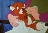 Сцена из фильма Лис и охотничий пес: Дилогия / The Fox and the Hound: Dilogy (1981) Лис и охотничий пес 1-2 сцена 1