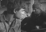 Сцена из фильма Жаворонок (1964) Жаворонок сцена 1