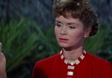 Фильм Тэмми и Холостяк / Tammy and the Bachelor (1957) - cцена 3