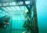 Сцена из фильма Челюсти 3D / Shark Night 3D (2011) 