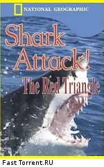 Нападения акул. Красный треугольник