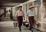 Сцена из фильма Стрекоза (1954) Стрекоза сцена 6