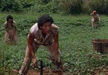 Сцена из фильма Отряд Дельта 2 / Delta Force 2: The Colombian Connection (1990) Отряд Дельта 2 сцена 3