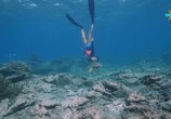 Сцена из фильма Фридайвинг на Большом Барьерном рифе / Ultimate Freedive: The Great Barrier Reef (2016) Фридайвинг на Большом Барьерном рифе сцена 13