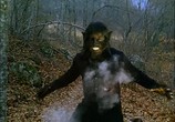 Сцена из фильма Проклятие чудовища / La maldición de la bestia (1975) Проклятие чудовища сцена 10