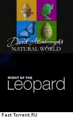 BBC: Наедине с природой: Ночь Леопарда