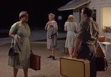 Сцена из фильма Поездка в Баунтифул / The Trip to Bountiful (1985) Поездка в Баунтифул сцена 10