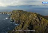 Сцена из фильма Дикая Ирландия - на краю земли / Wild Ireland: The Edge of the World (2017) Дикая Ирландия - на краю земли сцена 5