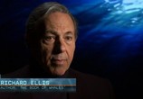 Сцена из фильма History Channel: Подводная вселенная / Underwater Universe (2011) History Channel: Подводная вселенная сцена 1