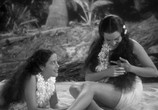 Сцена из фильма Мятеж на Баунти / Mutiny on the Bounty (1935) 