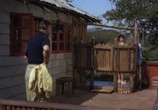 Сцена из фильма Могамбо / Mogambo (1953) Могамбо сцена 1
