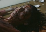 Сцена из фильма Школьница против зомби / Schoolgirl Apocalypse (2011) Школьница против зомби сцена 2