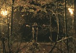 Сцена из фильма Таинственный лес / The Village (2004) Таинственный лес сцена 1