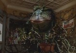 Сцена из фильма Лавка ужасов / Little Shop of Horrors (1986) Лавка ужасов сцена 6