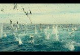 Сцена из фильма Океаны / Oceans (2009) Океаны сцена 2