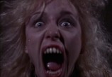 Сцена из фильма Кошмарные сёстры / Nightmare Sisters (1988) Кошмарные сёстры сцена 3