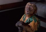 Фильм Неприятности с обезьянкой / Monkey Trouble (1994) - cцена 1