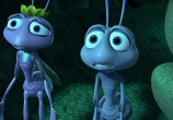 Сцена из фильма Приключения Флика / A Bug's Life (1998) 