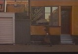 Фильм Женщины на крыше / Kvinnorna på taket (1989) - cцена 2