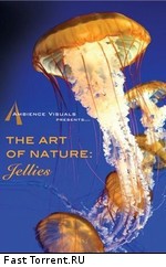 Искусство природы: медузы