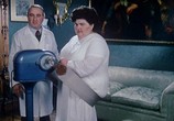 Сцена из фильма Да здравствует тюлень! / W la foca (1982) Да здравствует тюлень! сцена 18