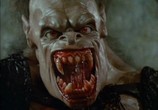 Сцена из фильма Царь зла / Rawhead Rex (1986) Царь зла сцена 2