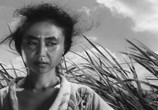 Сцена из фильма Женщина-демон / Onibaba (1964) Женщина-демон сцена 7
