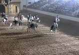 ТВ Как танцуют андалузcкие лошади / Como bailan las caballos andaluces (2007) - cцена 6