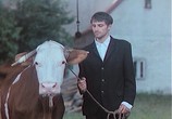 Сцена из фильма Корова / Kráva (1994) Корова сцена 4