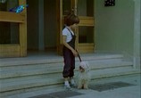 Фильм Муж для мамы / Tarsi se saprug za mama (1985) - cцена 4