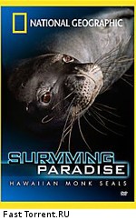 Гавайские тюлени-монахи: Выживающий рай