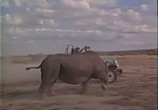Фильм Последнее сафари / The Last Safari (1967) - cцена 2